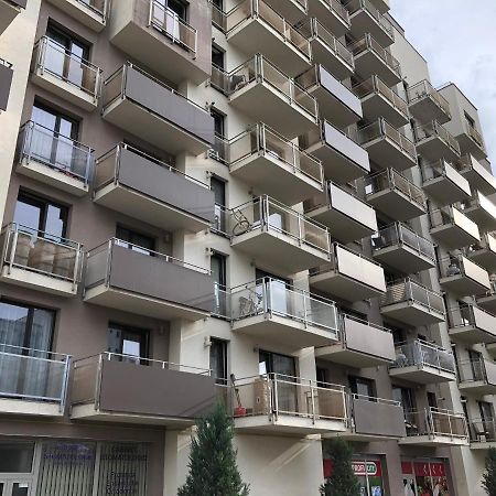 Mivardomi Accommodation Cluj-Napoca Buitenkant foto